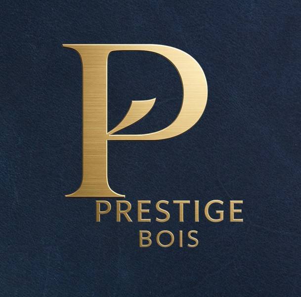 Logo V1